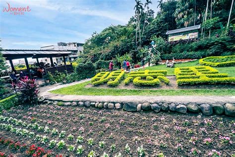 泰山特產|新北泰山一日遊，紫色瀑布來了！逛逛「私房花園」、尖凍山步道。